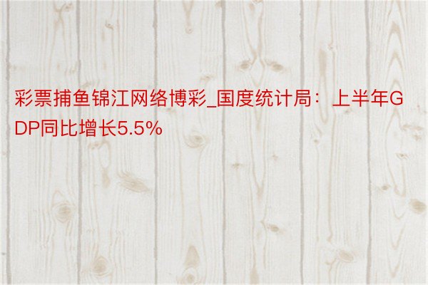 彩票捕鱼锦江网络博彩_国度统计局：上半年GDP同比增长5.5%