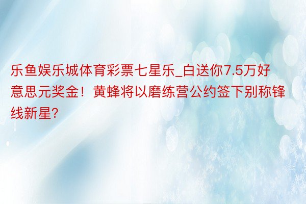 乐鱼娱乐城体育彩票七星乐_白送你7.5万好意思元奖金！黄蜂将以磨练营公约签下别称锋线新星？